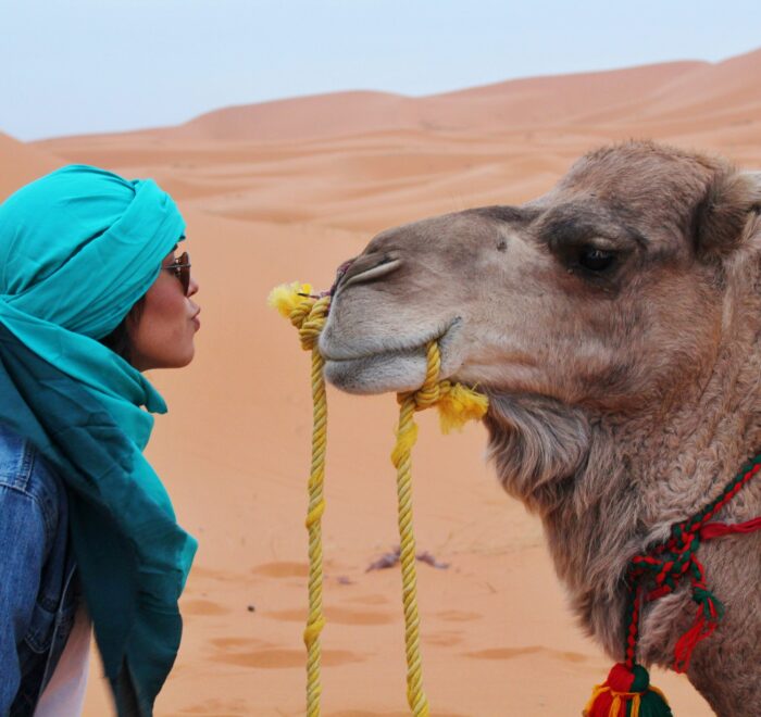 Marrakech Camel Ride in the Palm Grove | Enjoy a 1 Authentic Desert Experience with Berber Tea