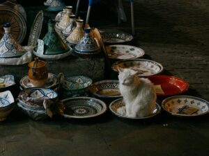 Solo Travel in Morocco : 3 Essential Safety Tips