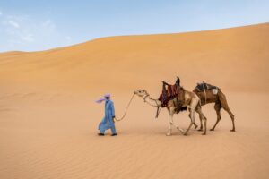Merzouga vs Zagora: 1 Amazing Sahara Desert Adventure Tip