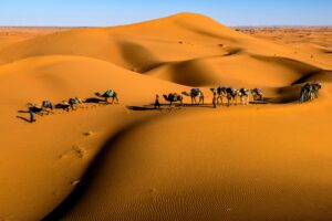 Merzouga vs Zagora: 1 Amazing Sahara Desert Adventure Tip